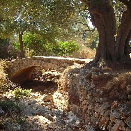 Trullo Dell Orto 奥斯图尼