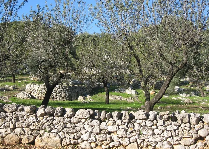 Trullo Dell Orto بيت للعطل أوستوني